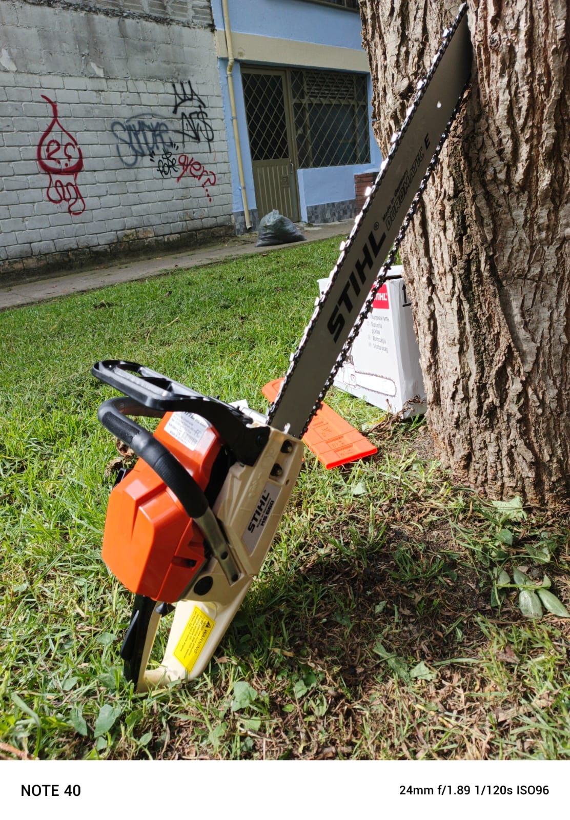 Motosierra stihl 660 - Imagen 3