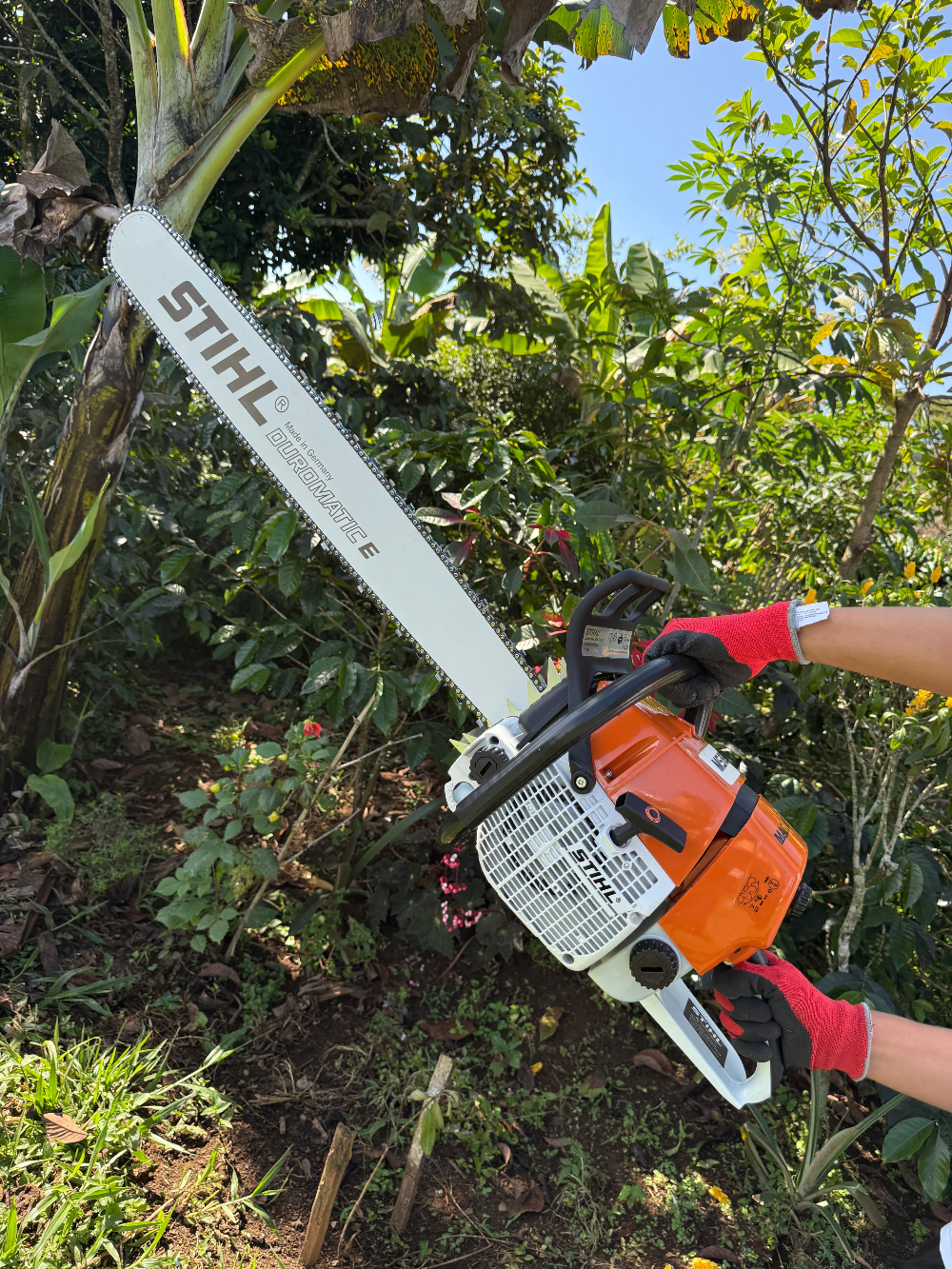 MOTOSIERRA 660 INDUSTRIAL+ACEITE+CARETA